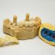 Prevent Gum Disease